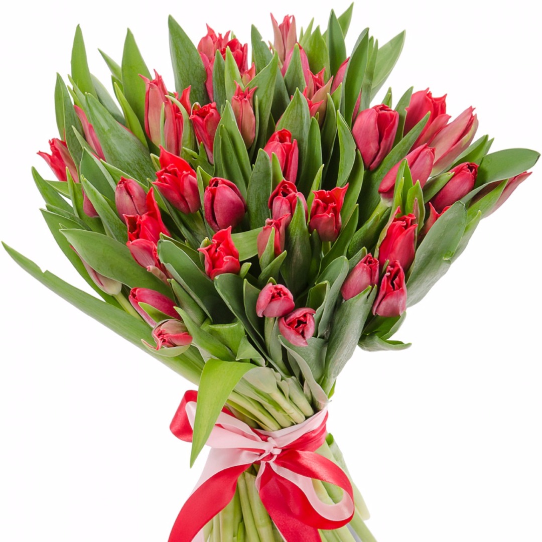 купить цветы Букет из красных тюльпанов
